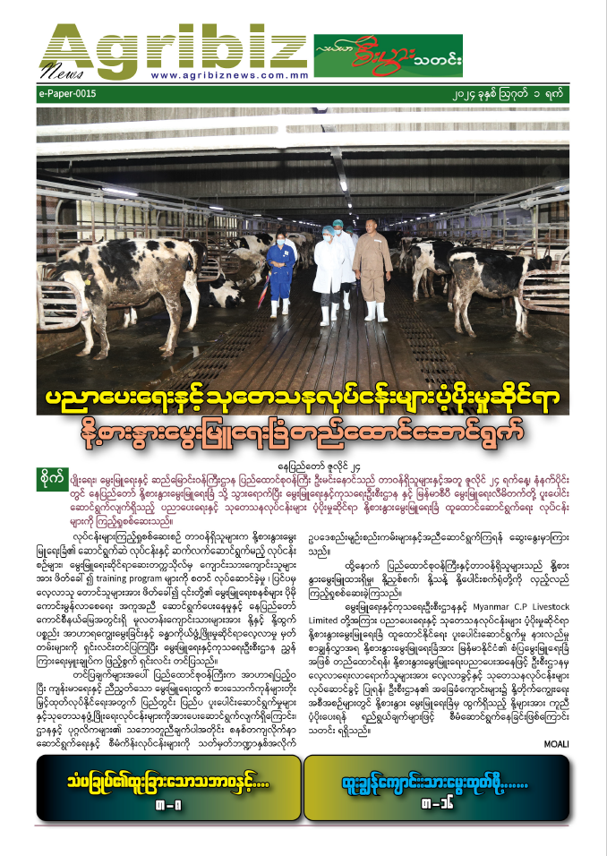 ePaper-015