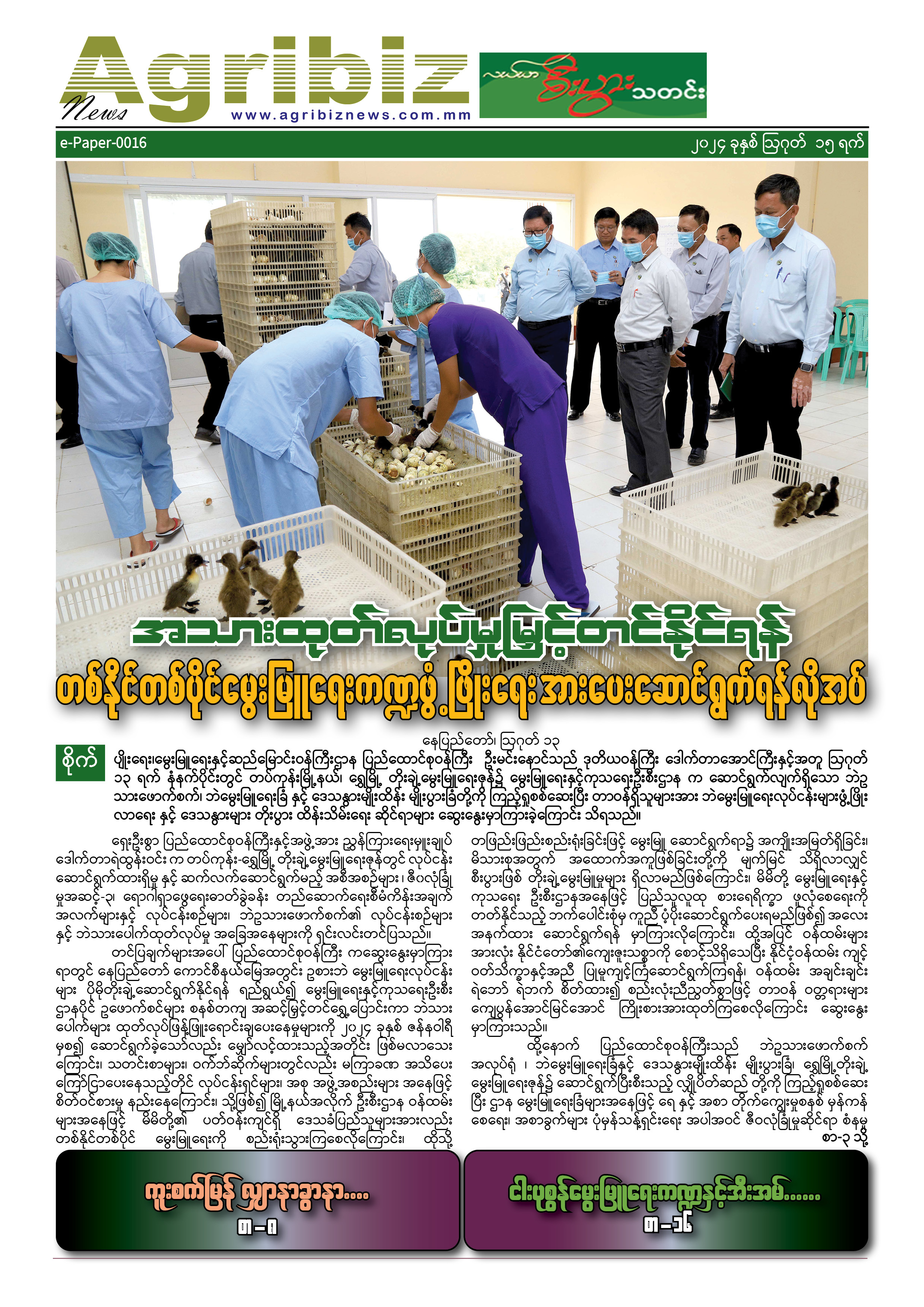 ePaper-016