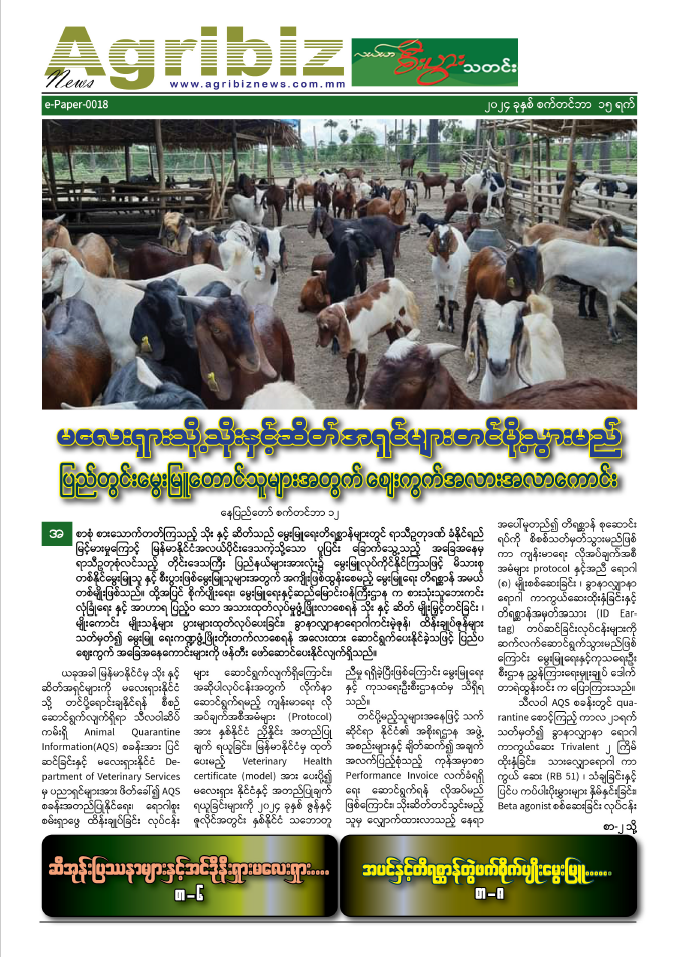ePaper-018