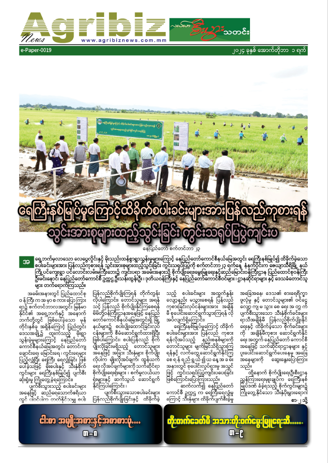 ePaper-019
