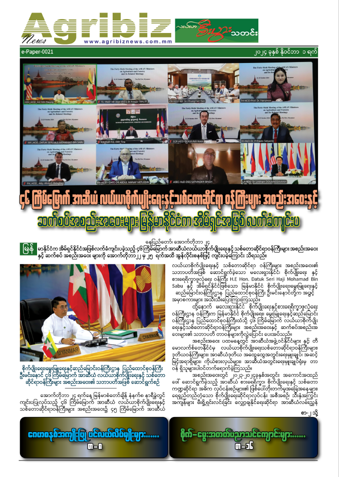 ePaper-021