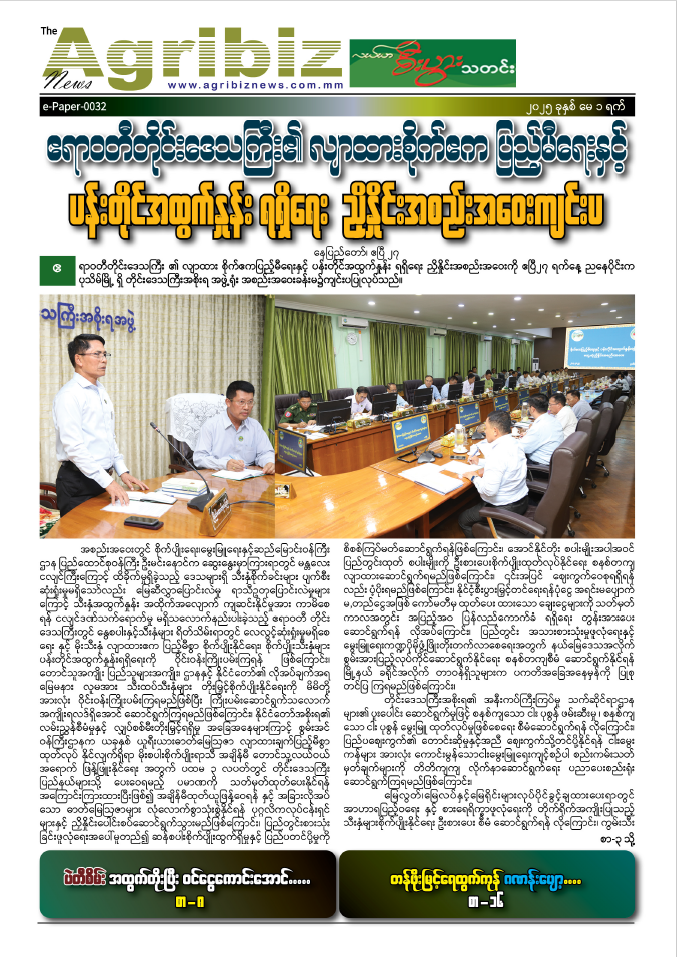 ePaper-032