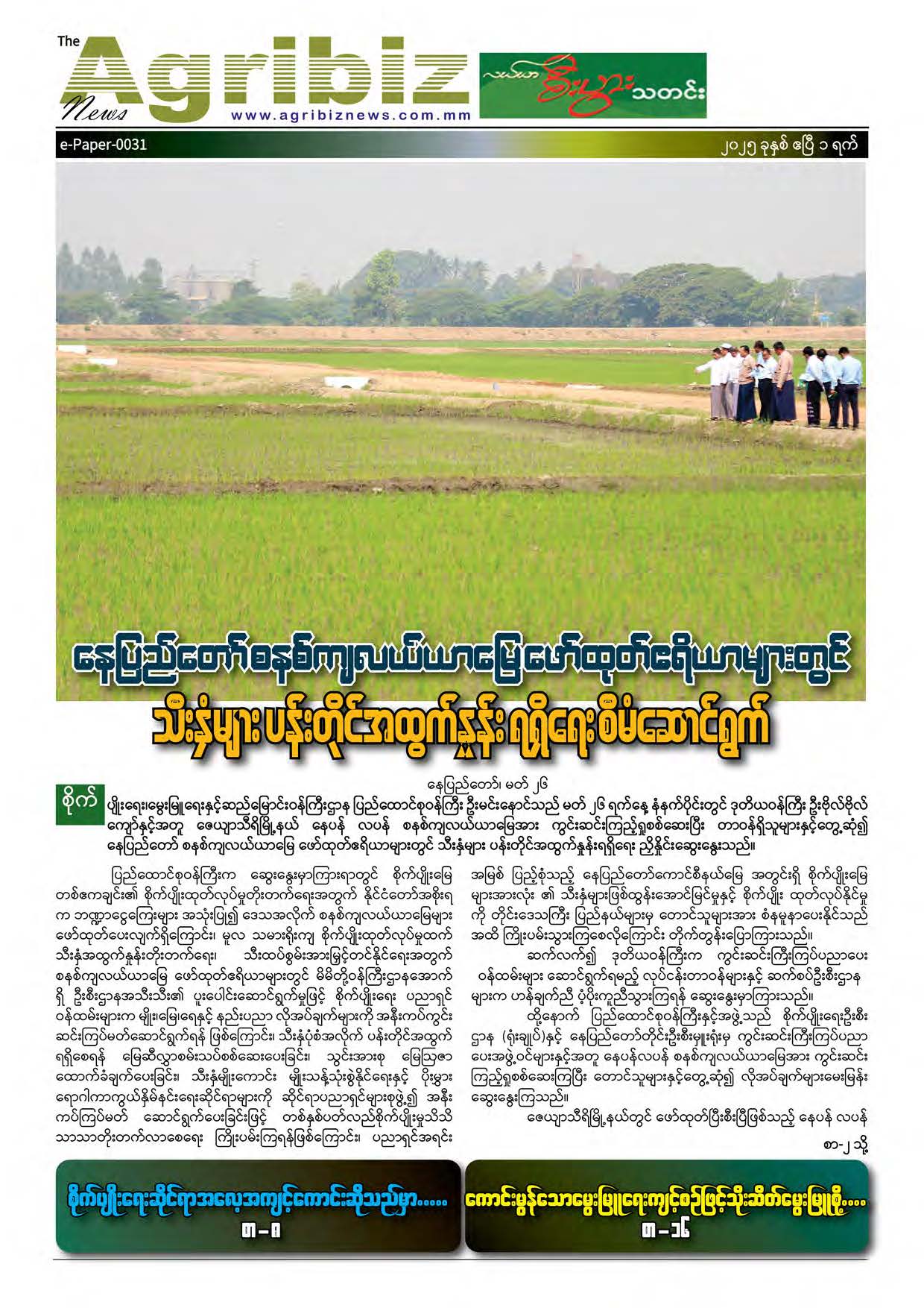 ePaper-031