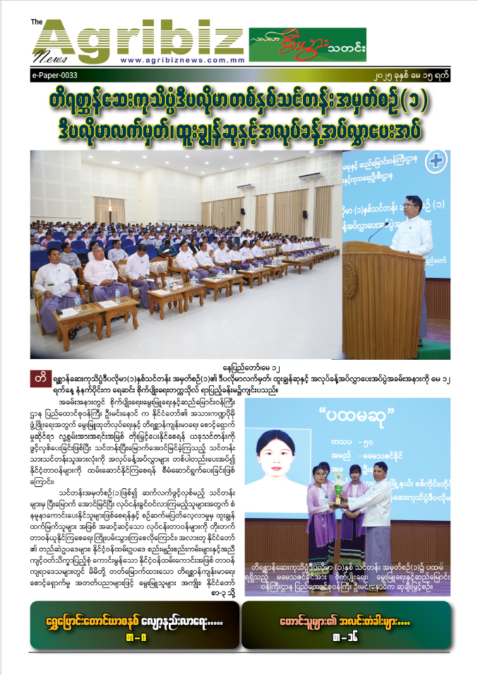 ePaper-033