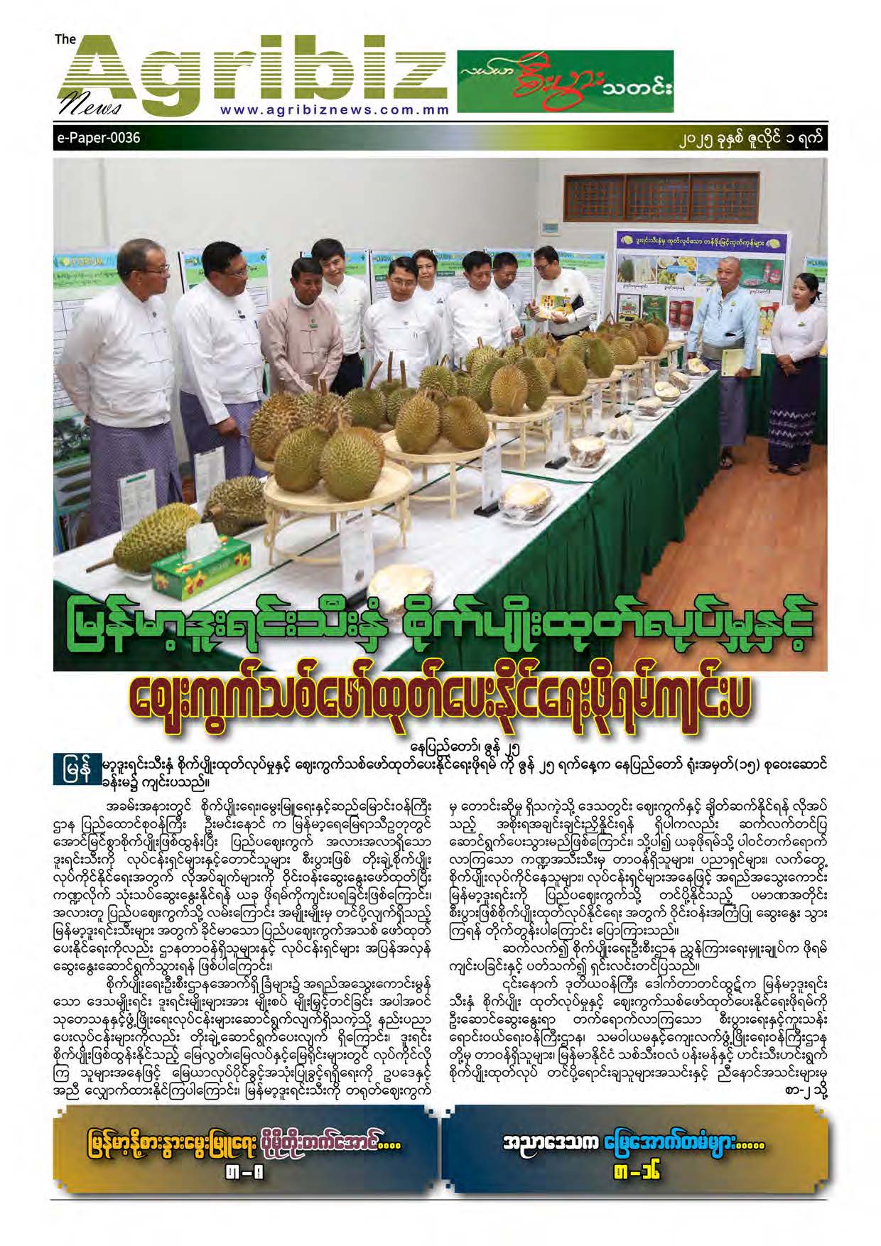 ePaper-036