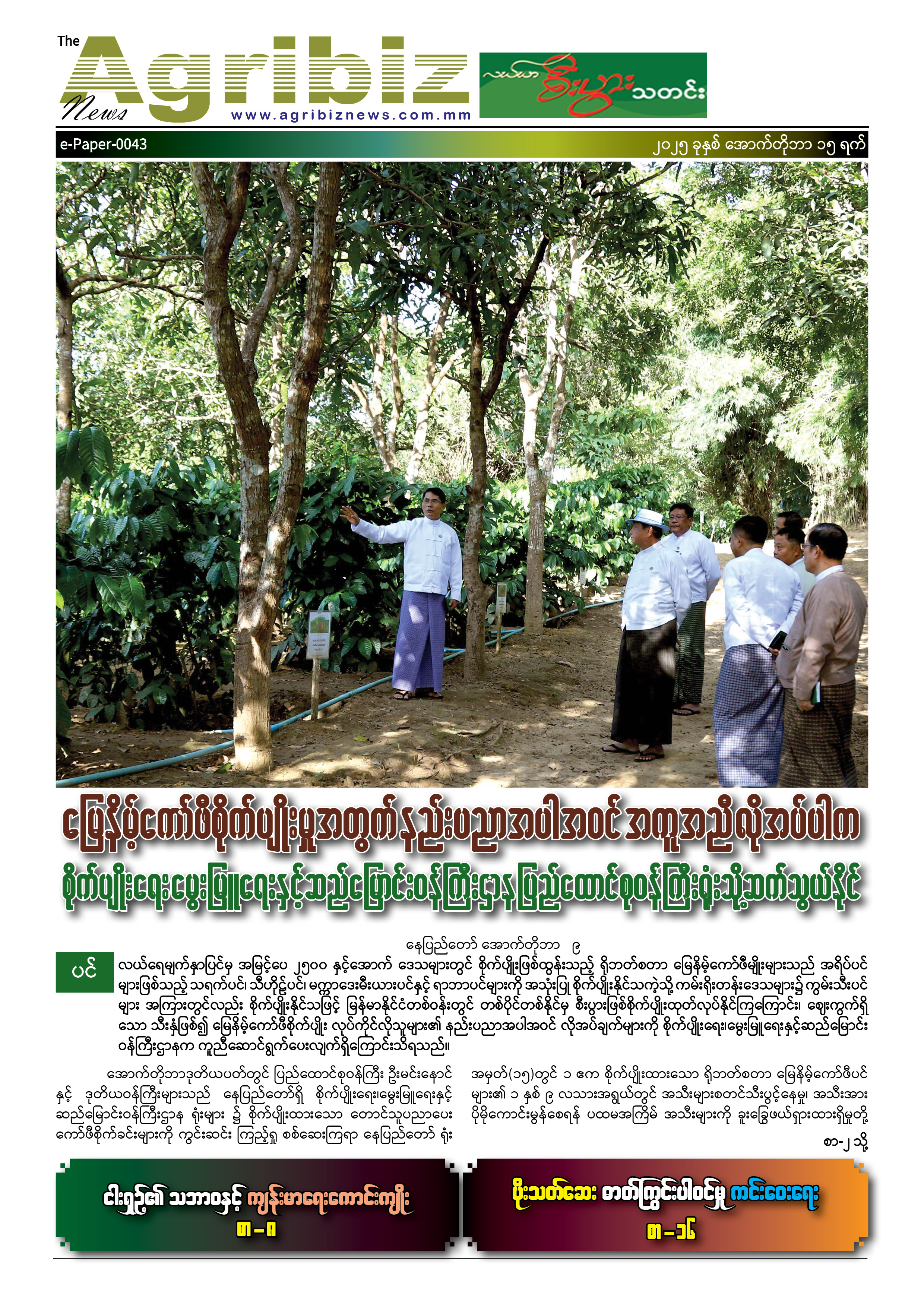 ePaper-043