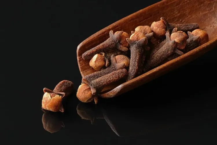 လေးညှင်း