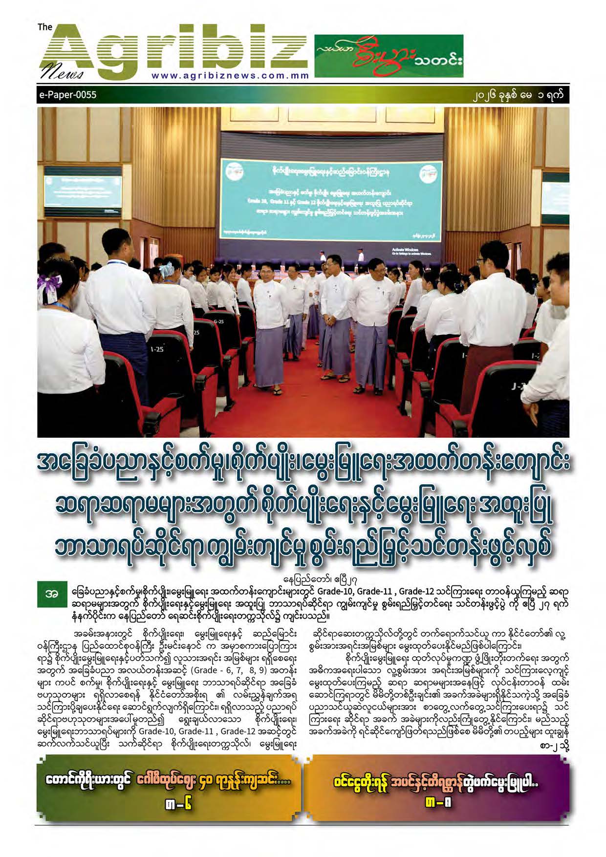 ePaper-055