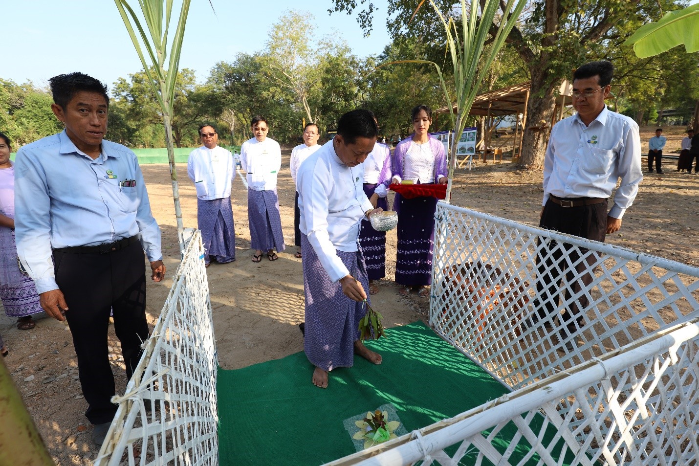 ပနက်တင်
