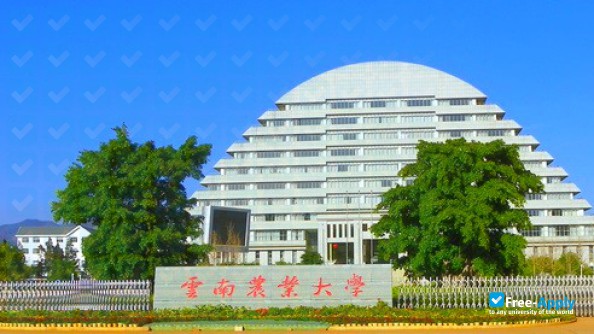 Yunan University