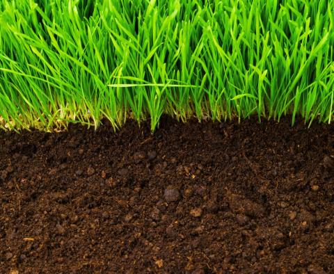 soil
