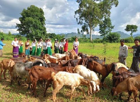 agri high school