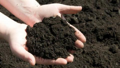 soil