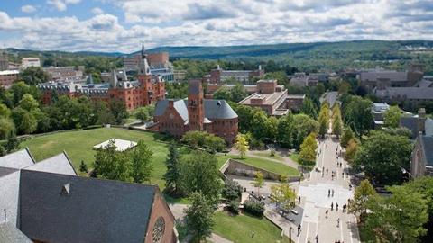 cornall university