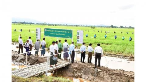 ကွင်းသရုပ်ပြပွဲ