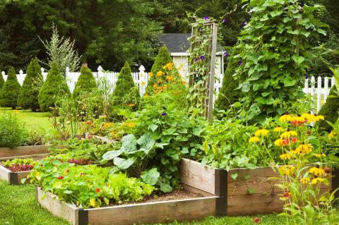 home garden