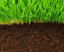 soil