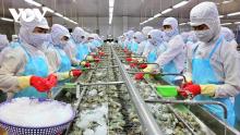 seafood