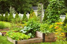 home garden