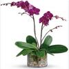 Profile picture for user Than Kyaw Tun