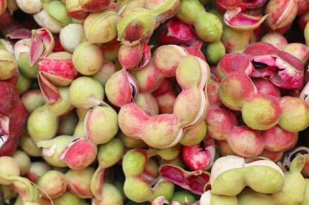 သင်္ဘောမန်ကျည်း