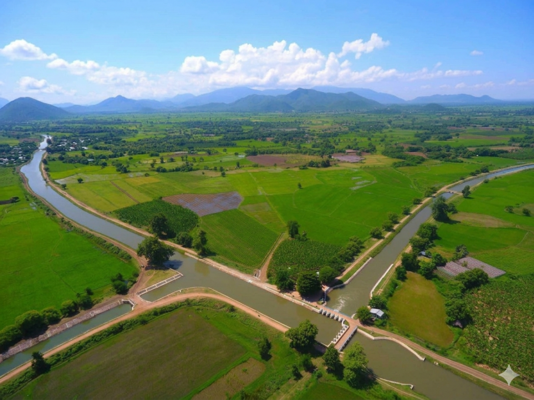 ကင်းတားဆည်